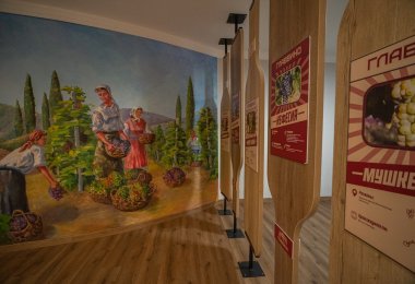 Российский фестиваль вин &laquo;ГЛАВВИНО ФЕСТ 2026&raquo; пройдёт на ВДНХ с 31 июля по 2 августа